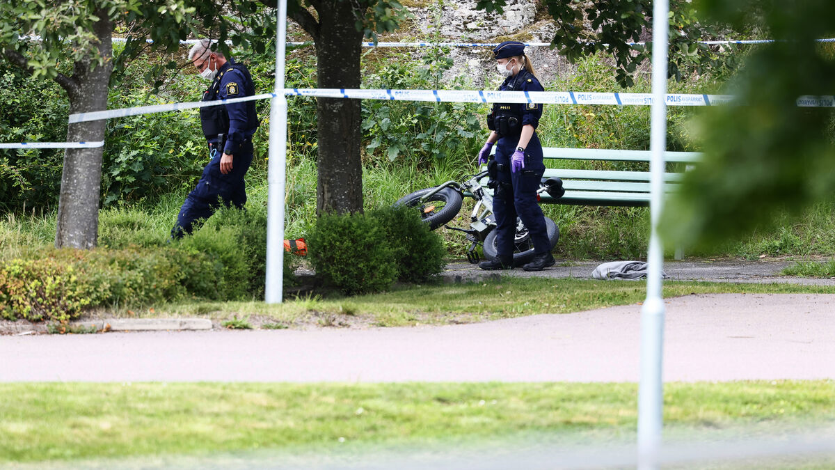 Life sentence set for gang