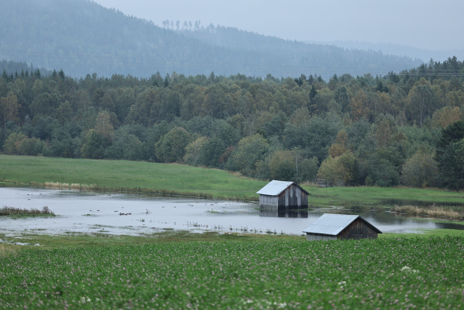 Rising Water Levels in Örnsköldsvik Prompt Flooding Concerns