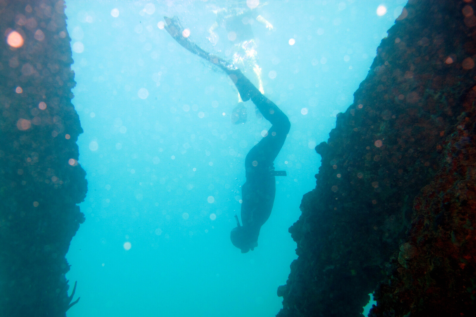 Swedish Freediver Sets Record with World Championship Gold