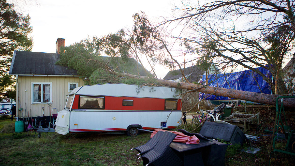 What is not covered by insurance after the storm