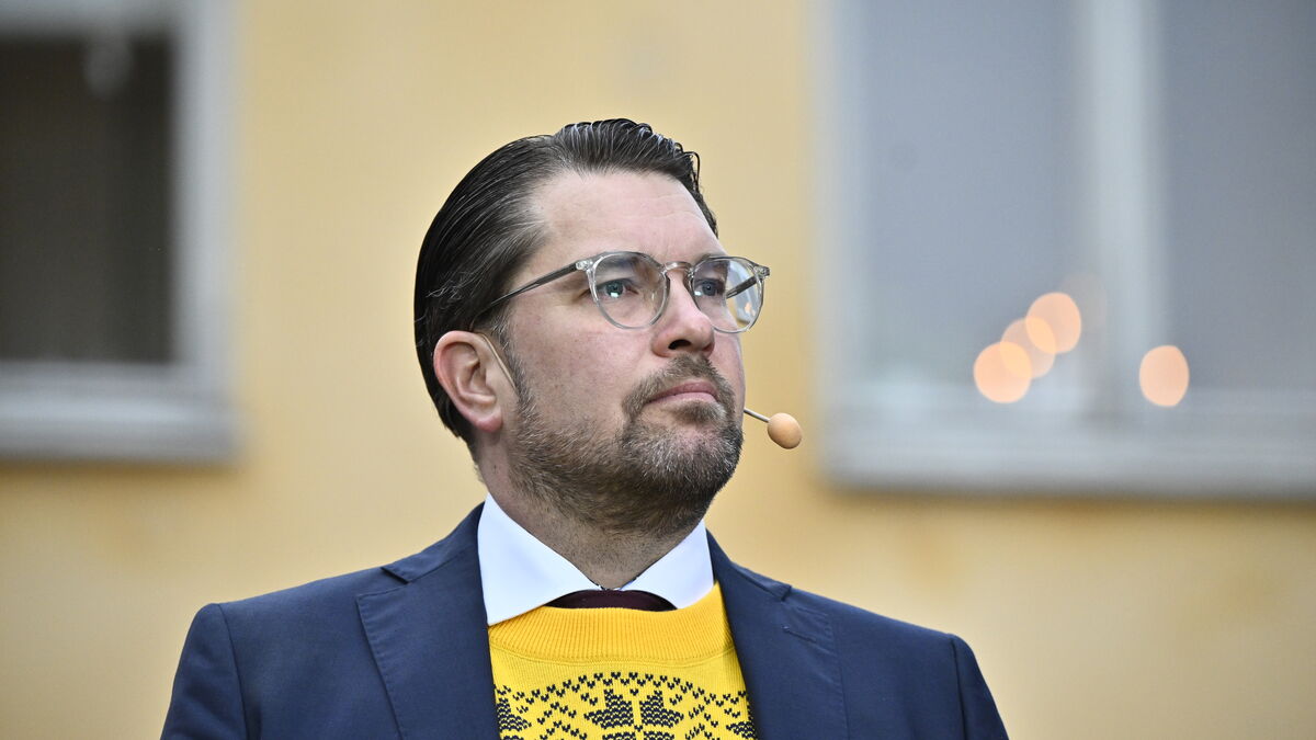 Åkesson rejects criticism over Swish donation to Dumpen publisher