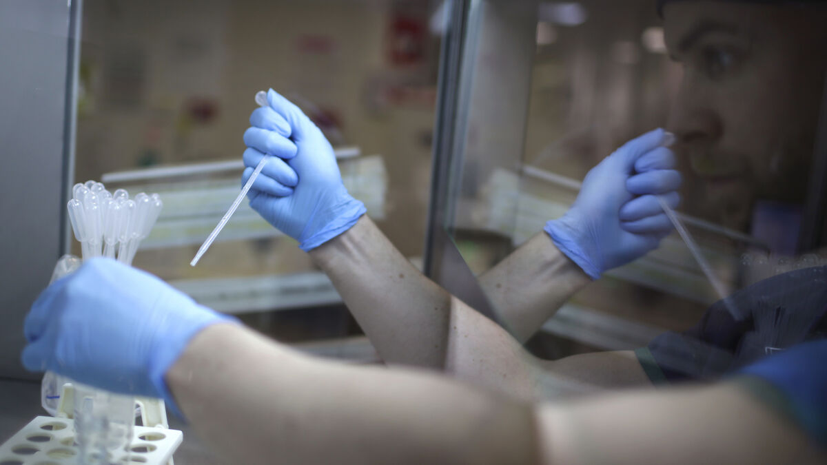 Danish sperm donor carried hereditary cancer gene