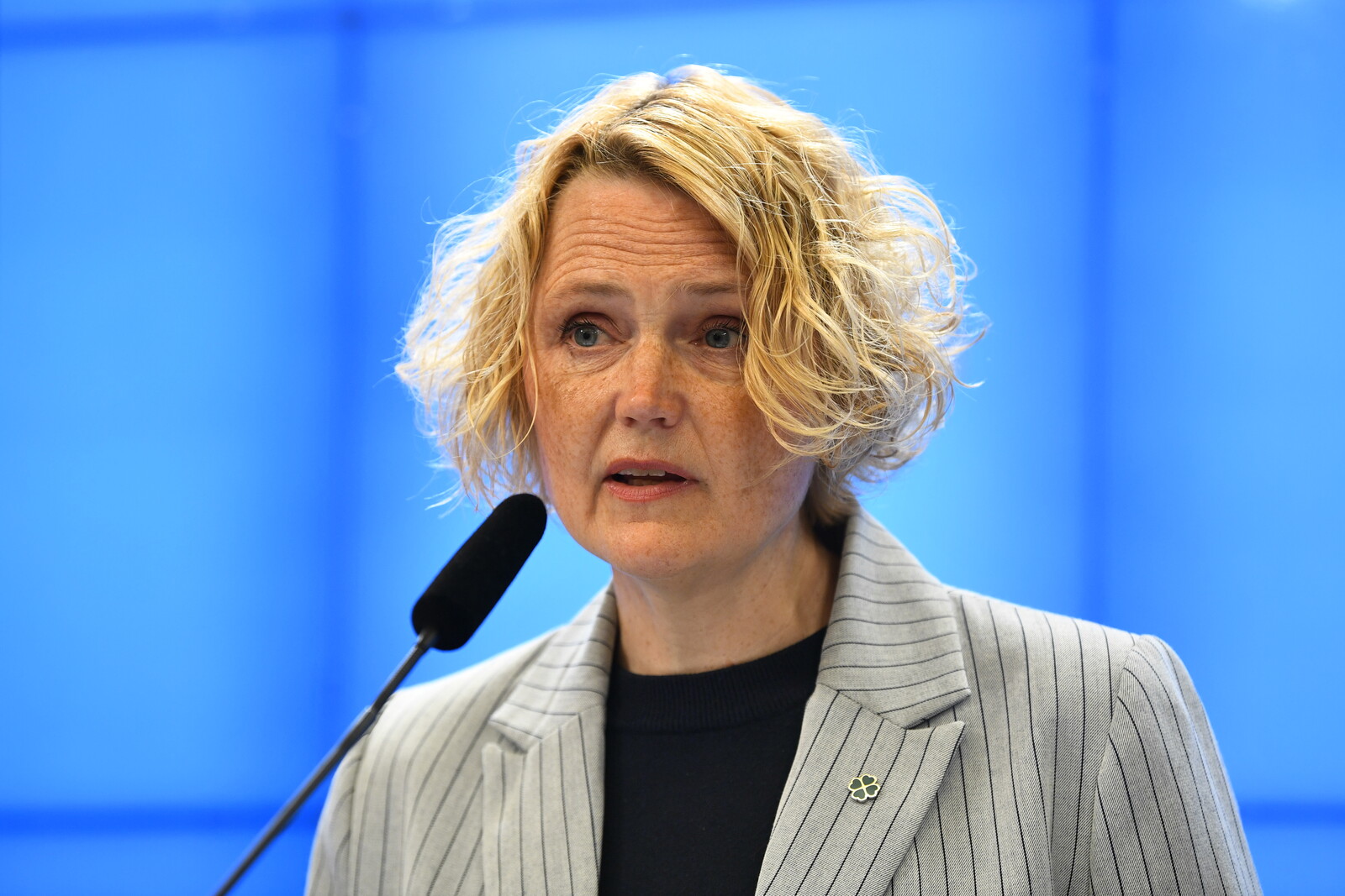 Center Party Proposes Simplifying Business Regulations in Sweden