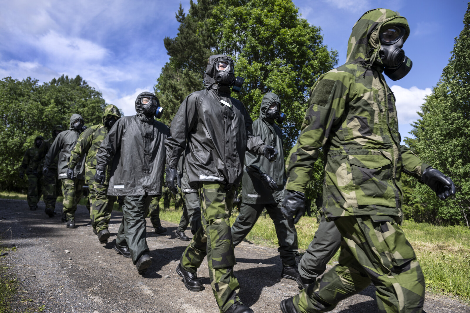 Sweden's Home Guard Offers Rapid