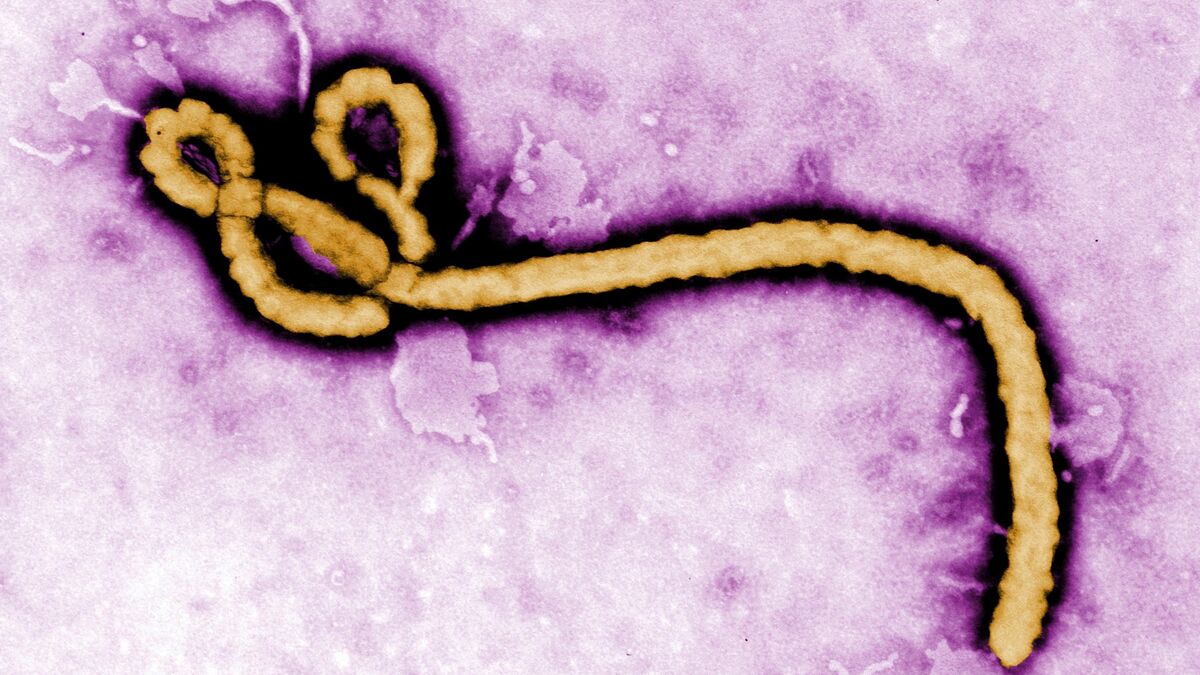 This is Ebola: outbreak in the Democratic Republic of the Congo and Uganda