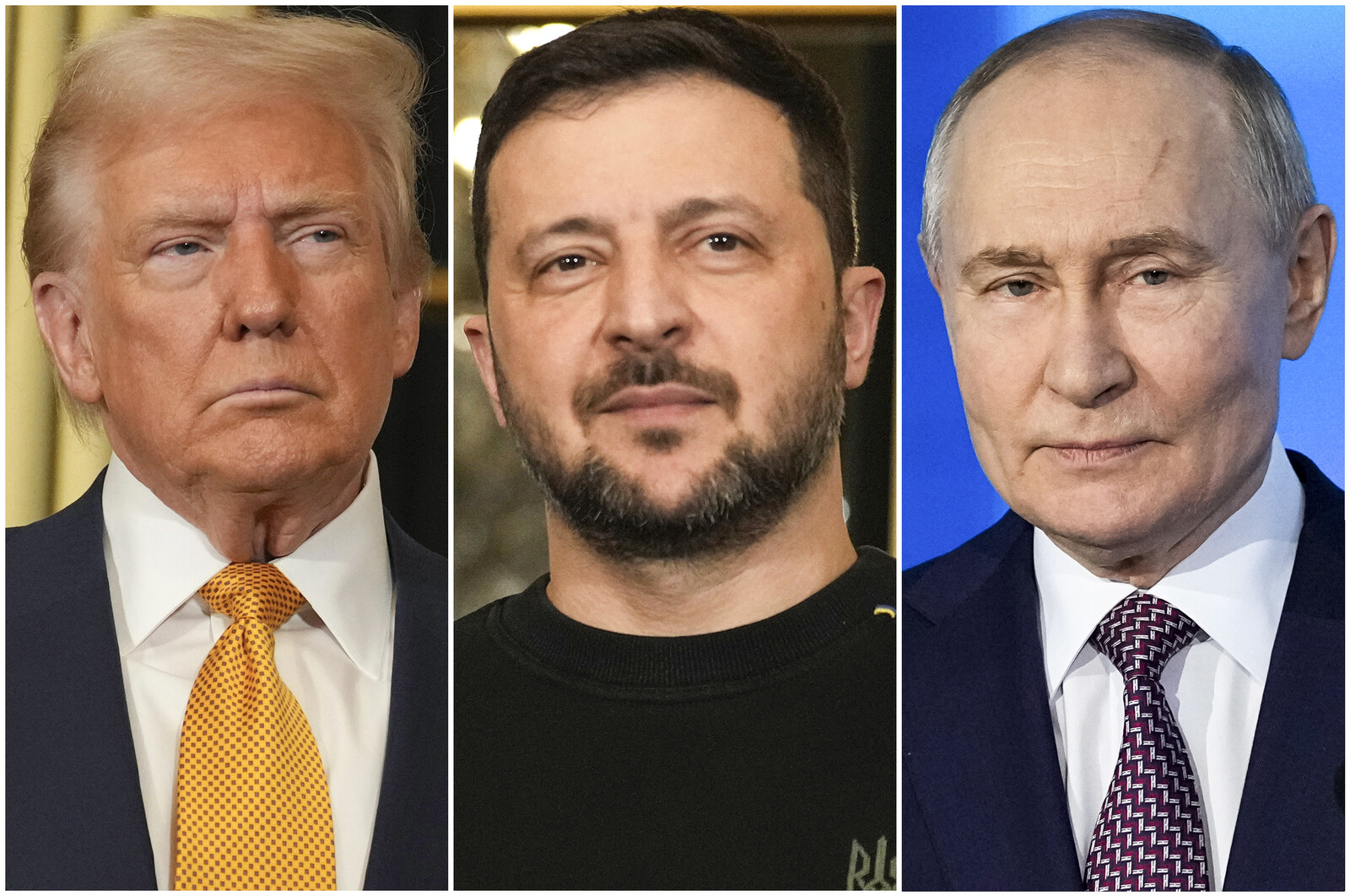 Zelensky Seeks Meeting with Putin