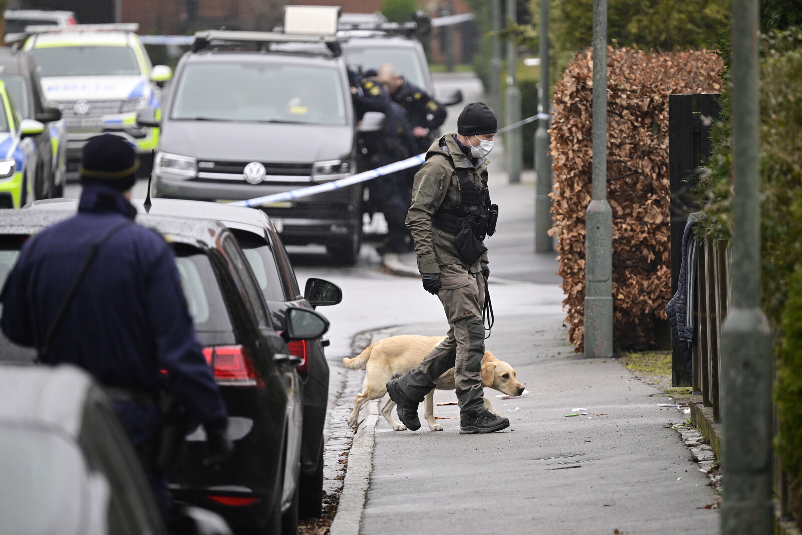 Malmö Man Sentenced to Life