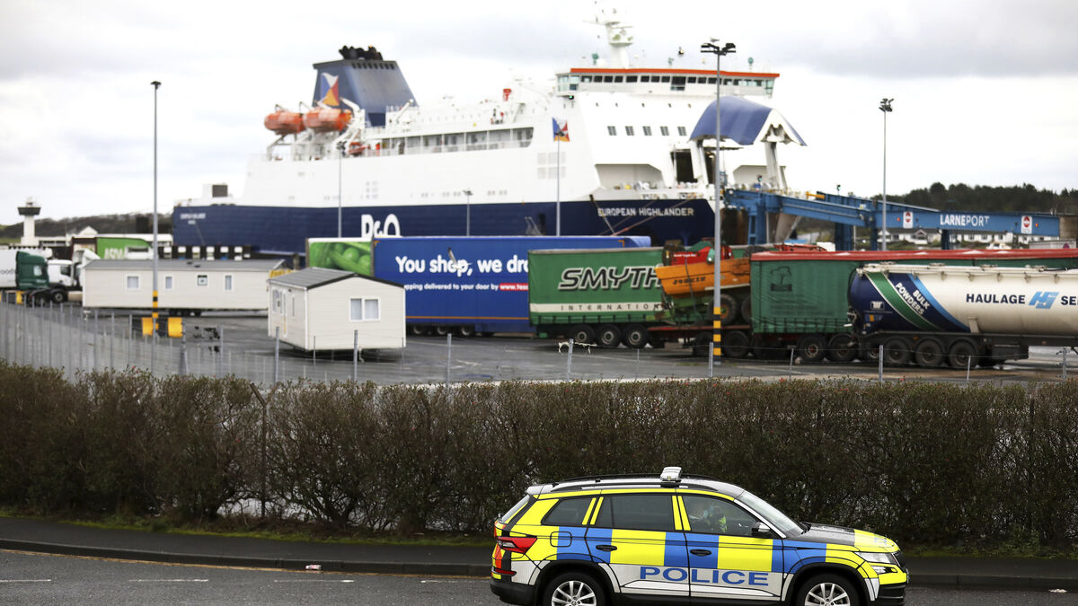 Swedish suspected hitman killed in