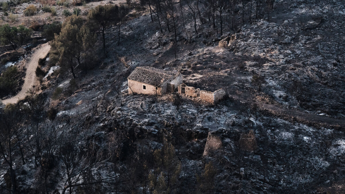 Spain wildfire killed 12 foreign