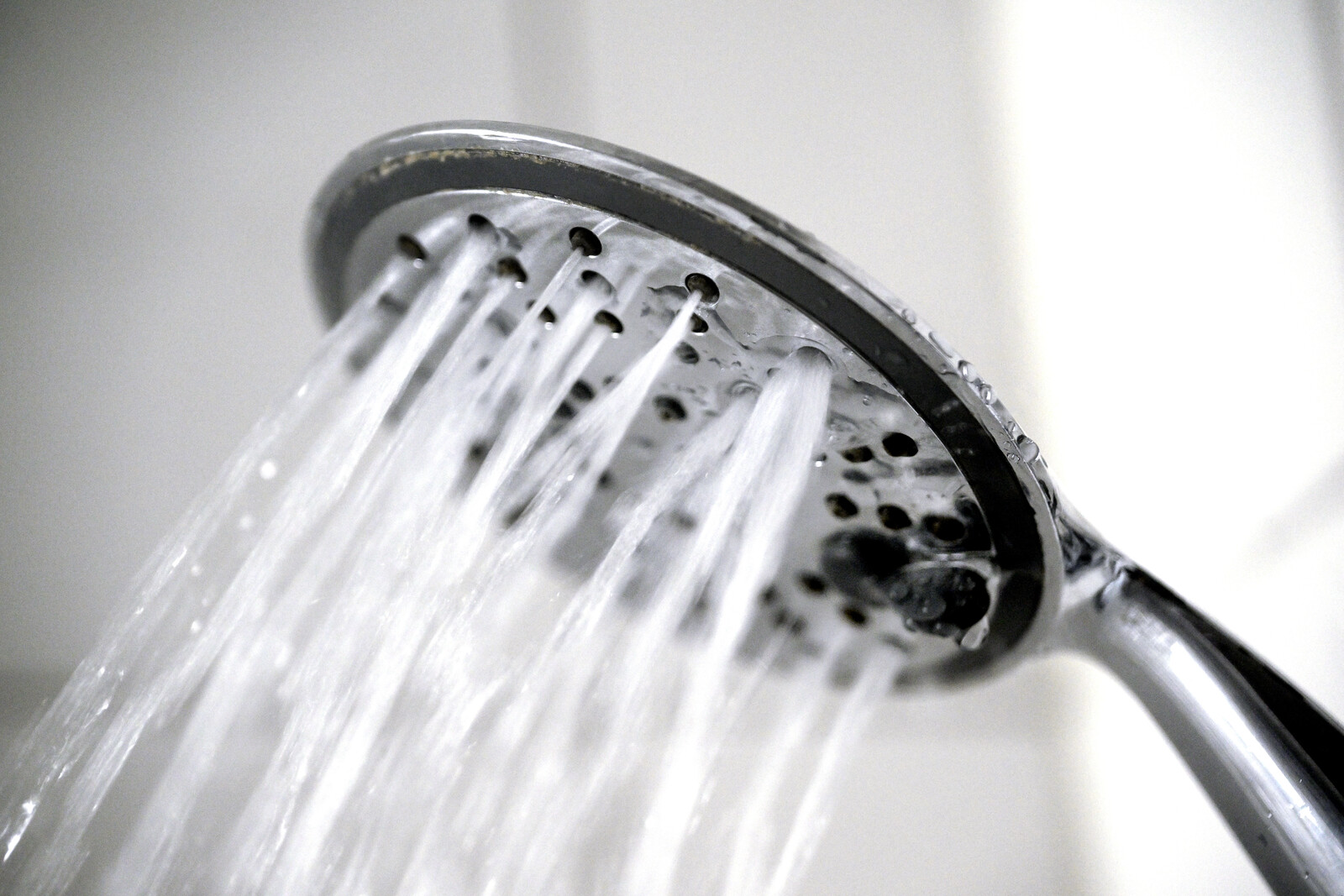 Viruses in your home – they thrive here