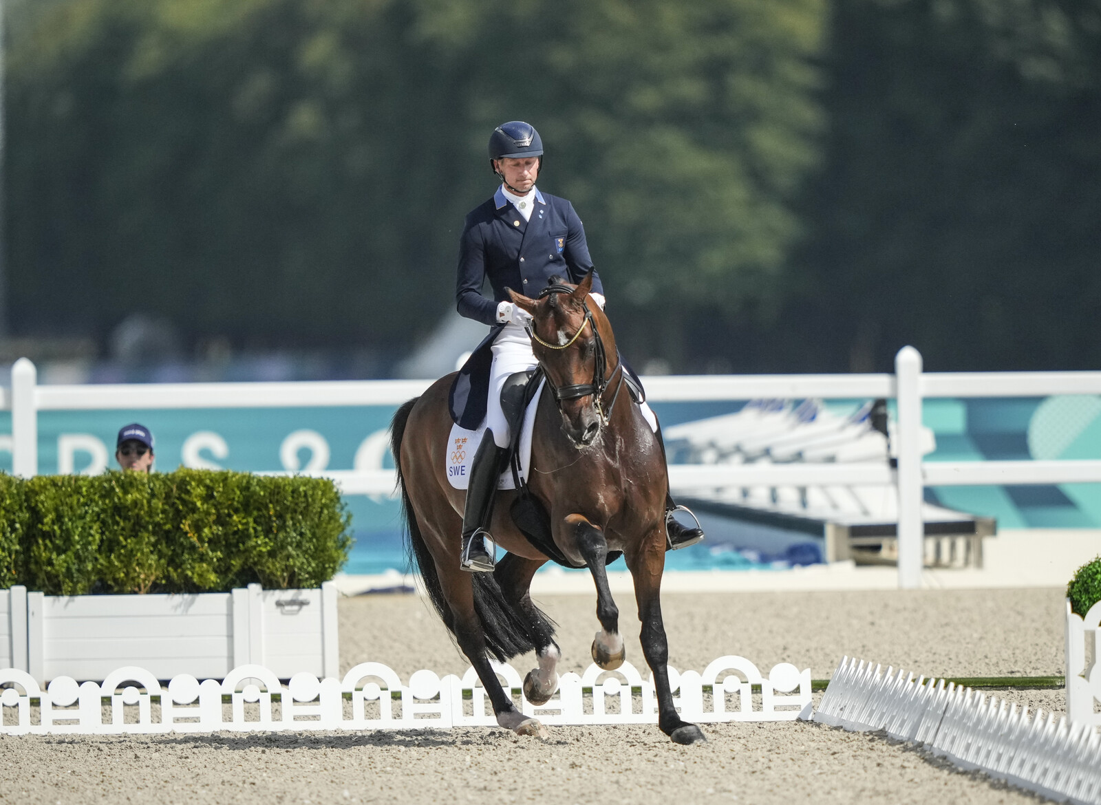 Sweden Finishes Sixth in European