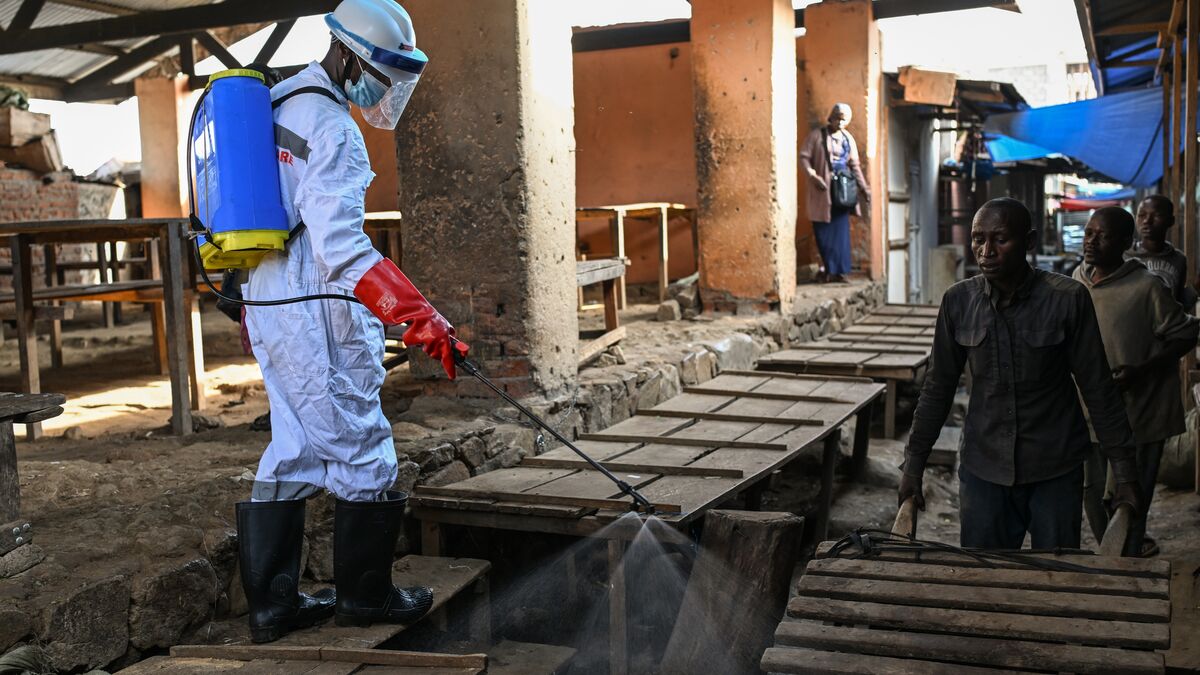 On the ground in the Congo-Kinshasa Ebola outbreak: Risk of spread
