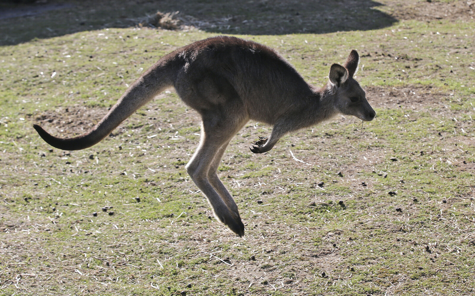 Australia Faces Major Climate Change
