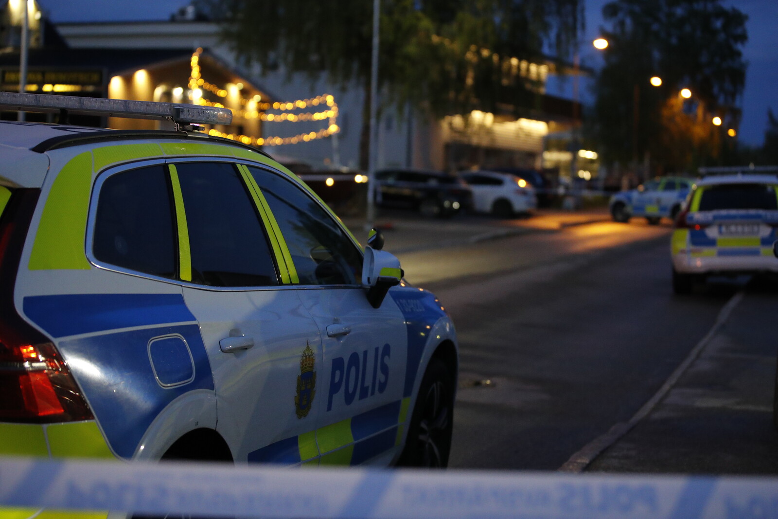 Teenagers Charged in Uppsala Murder