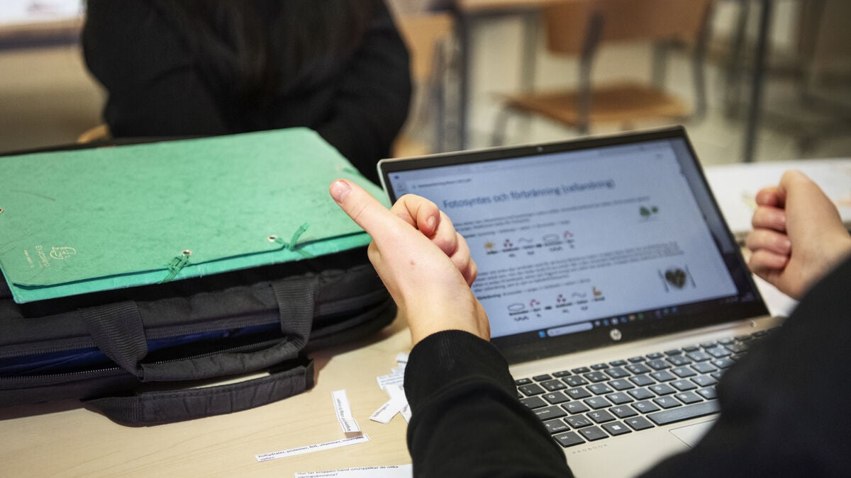 Proposal: New special education teacher training to replace two current programs