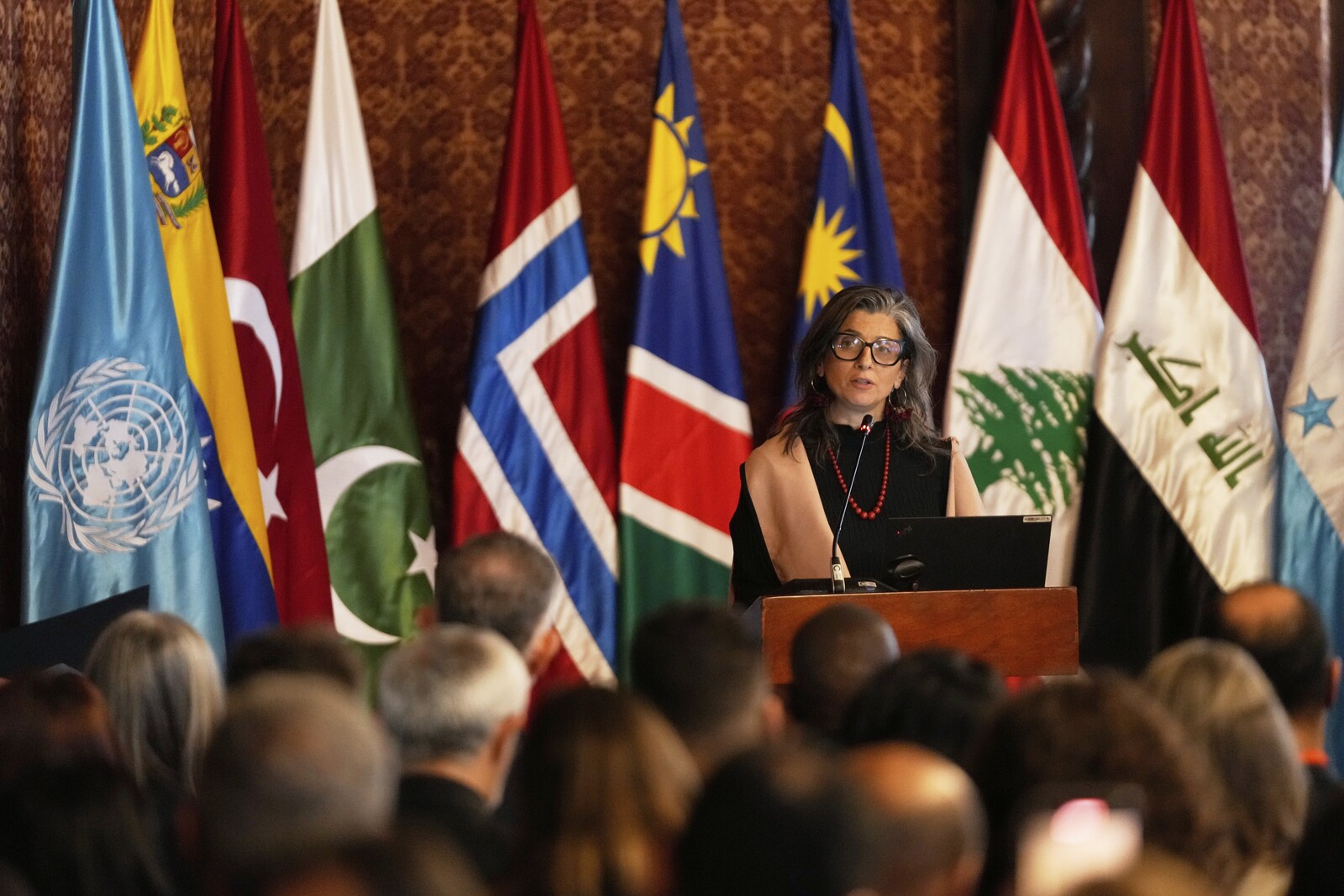UN Rapporteur Urges Global Break
