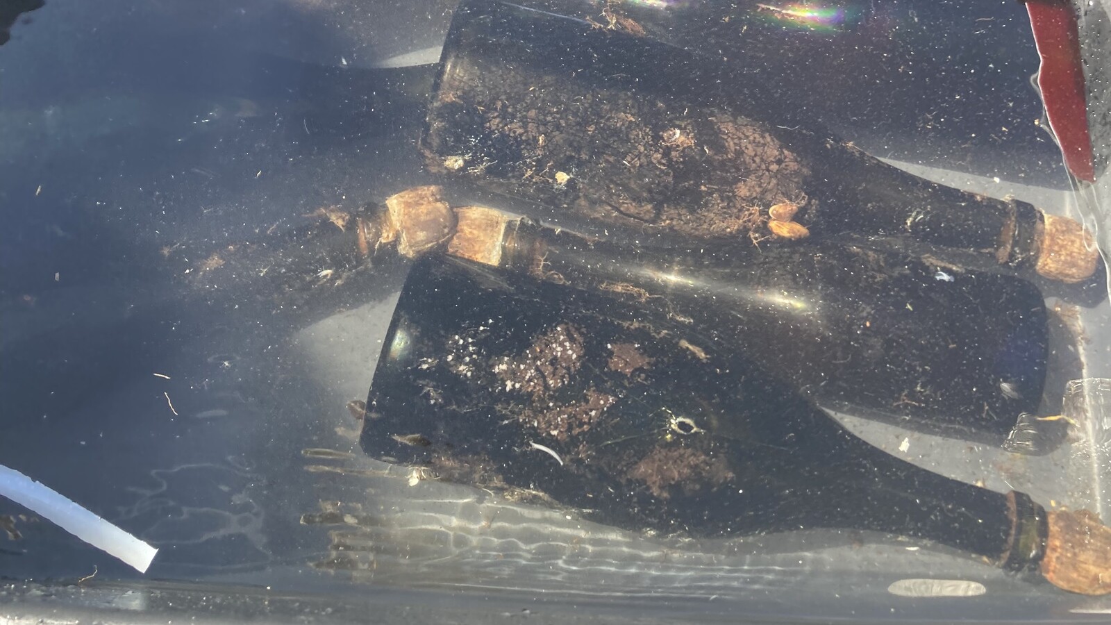 Tsar's 170-Year-Old Champagne Recovered from Seabed Tasted