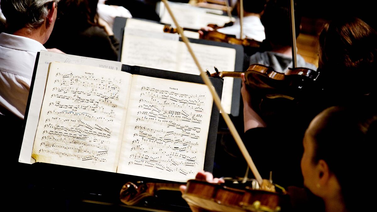 More than 25 percent of British musicians have lost all EU gigs since 2021