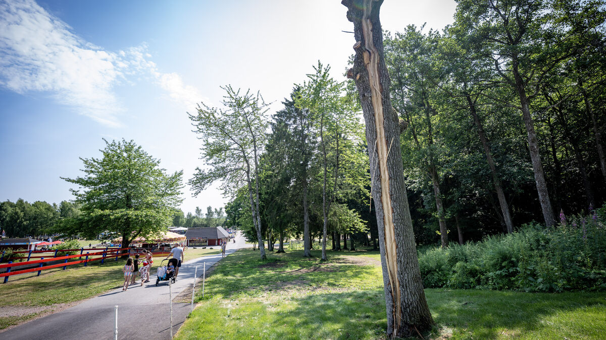 Lightning Strike at Swedish Amusement Park Injures Woman Seriously, Several Taken to Hospital