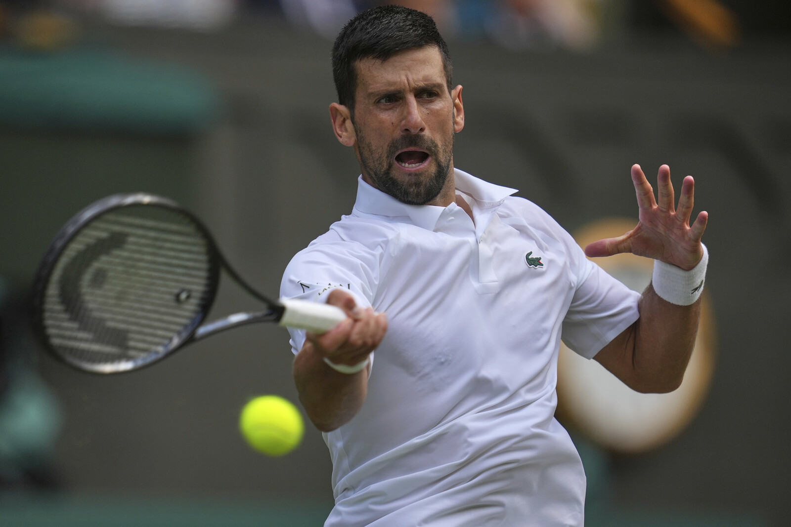 Djokovic Advances to Wimbledon Quarterfinals