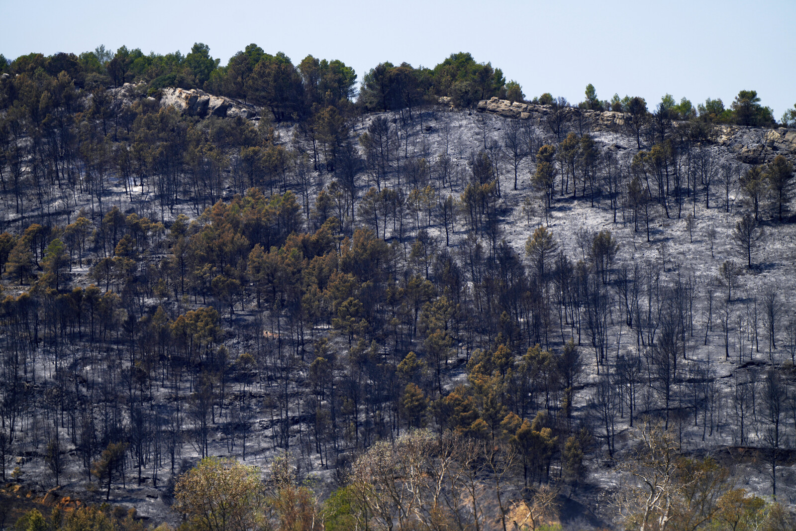 Red Heat Warning Issued Amid