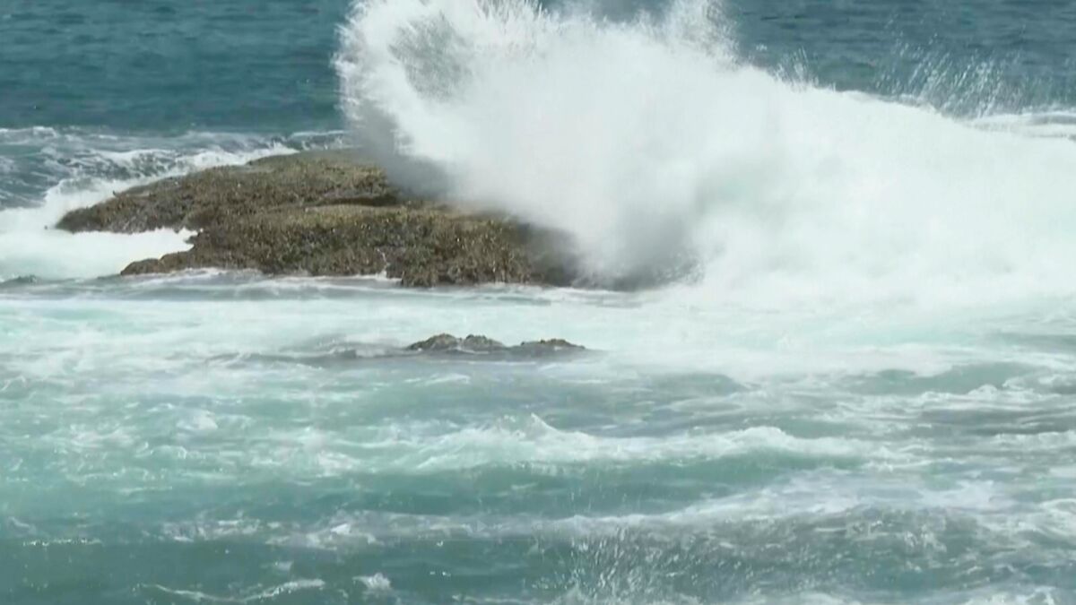 Typhoon Bavi landslides kill at