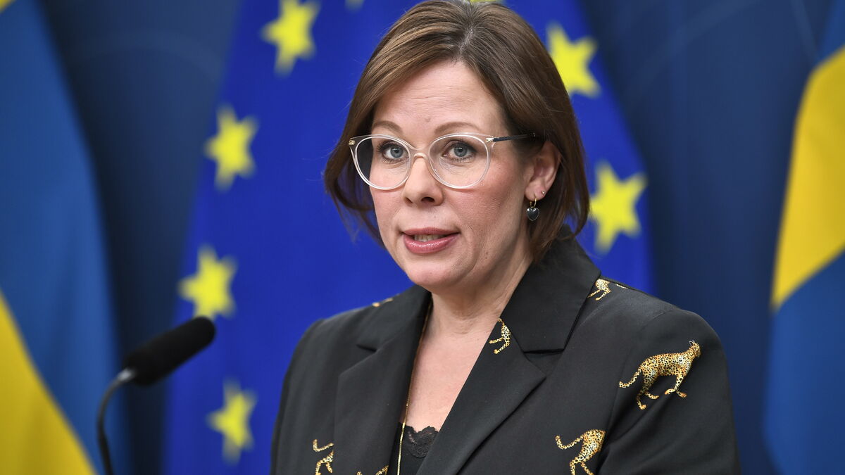 Man who wanted to eliminate Foreign Minister Maria Malmer Stenergard prosecuted