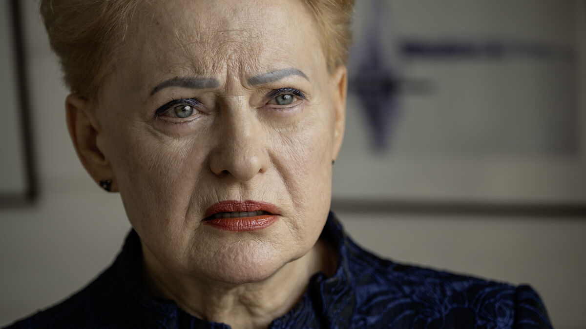 Former Lithuanian President Doubts US Would Send Troops if Russia Escalates Baltic Provocations