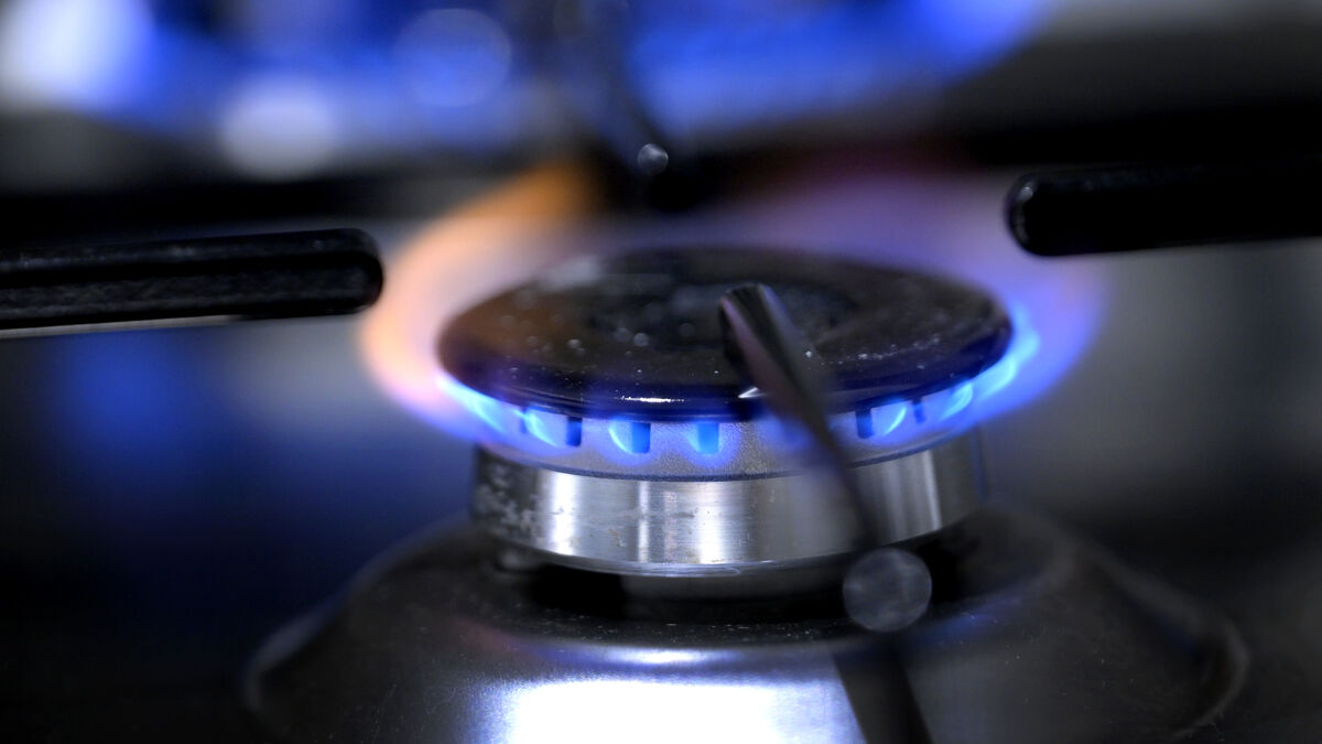 Swedish Regulator Cuts Gas Network