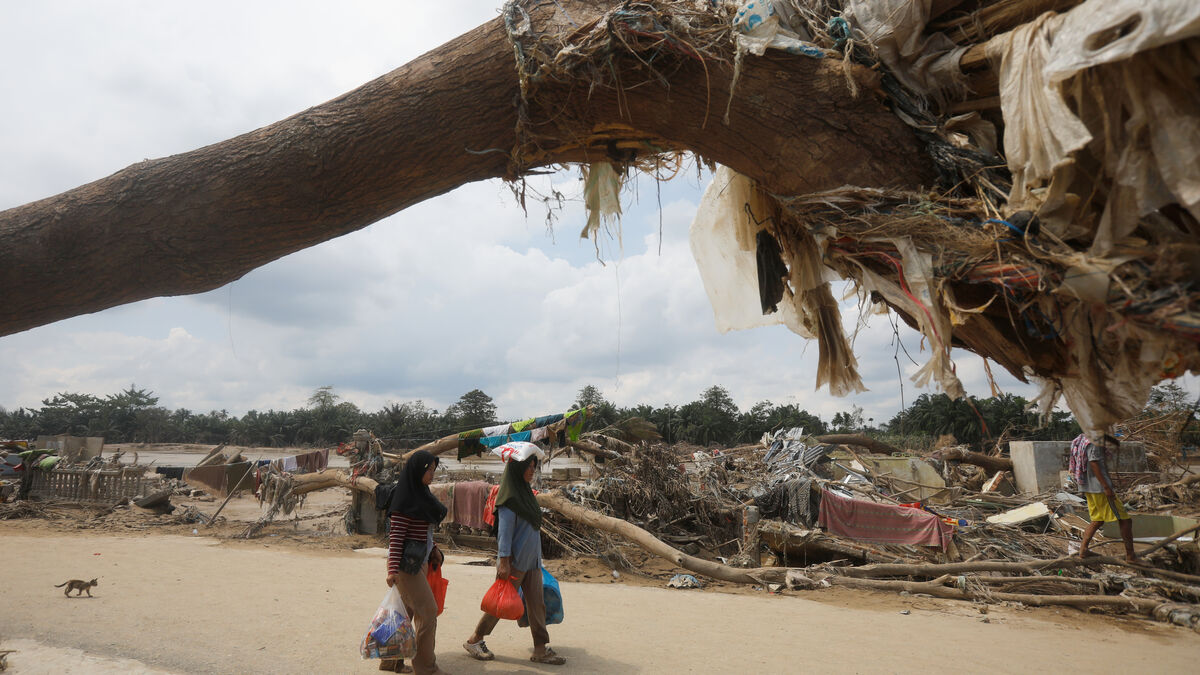 2025 on track to be the second warmest year