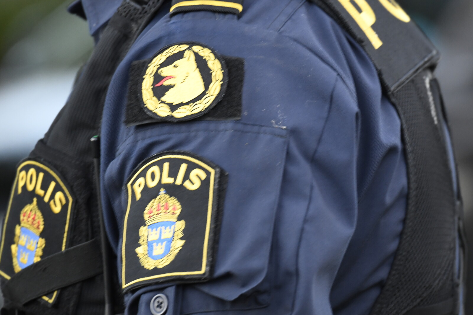 Suspected Drowning in Gothenburg Leaves
