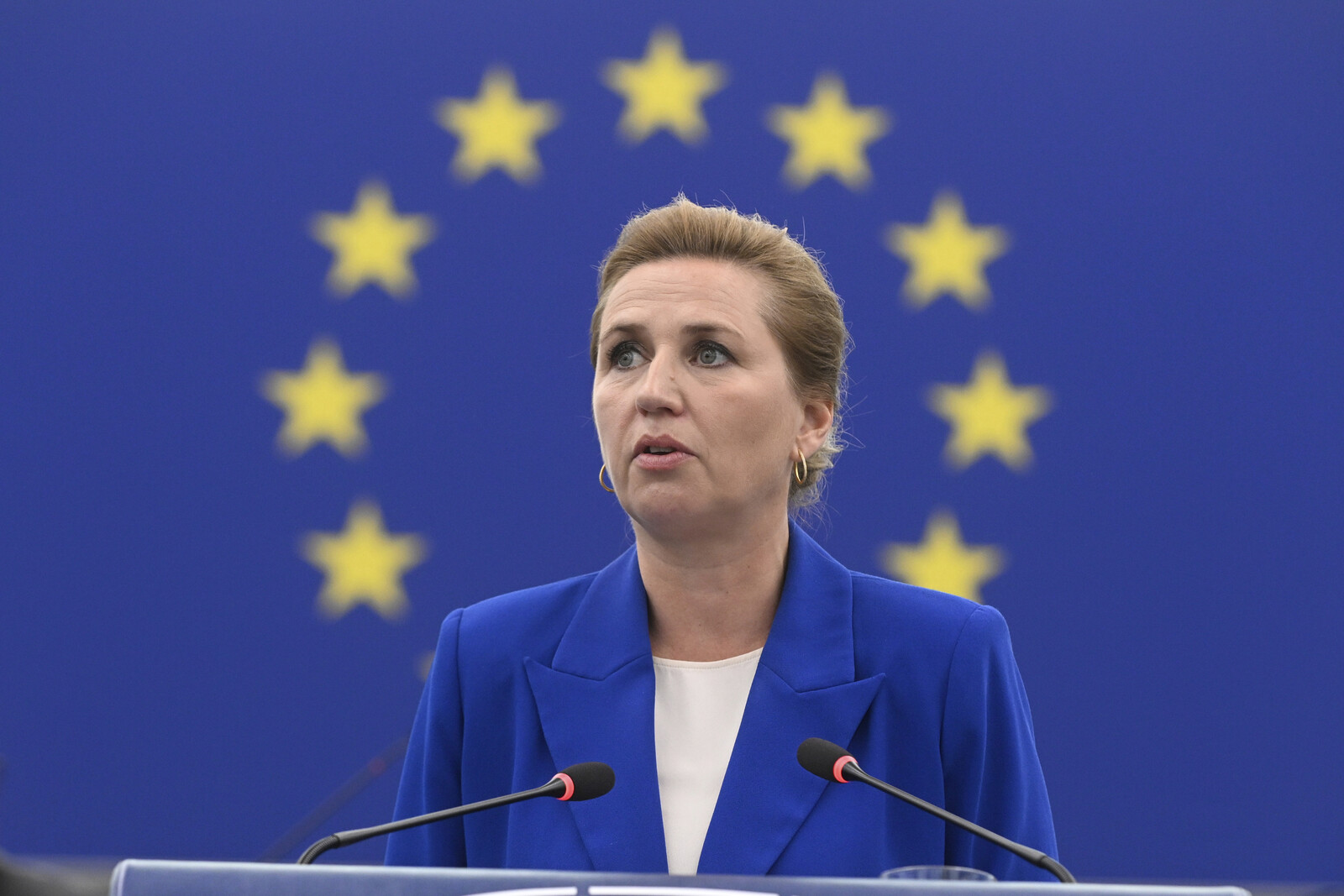 Denmark's PM Calls Past Defense