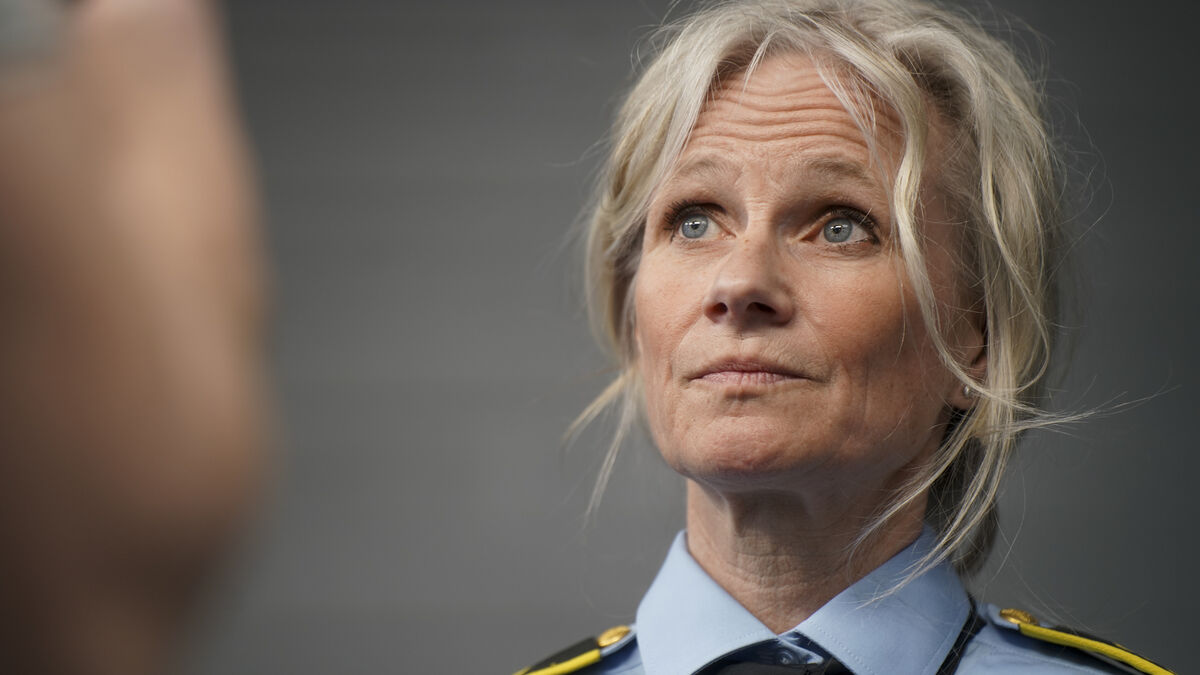 Two Swedish teenagers arrested for