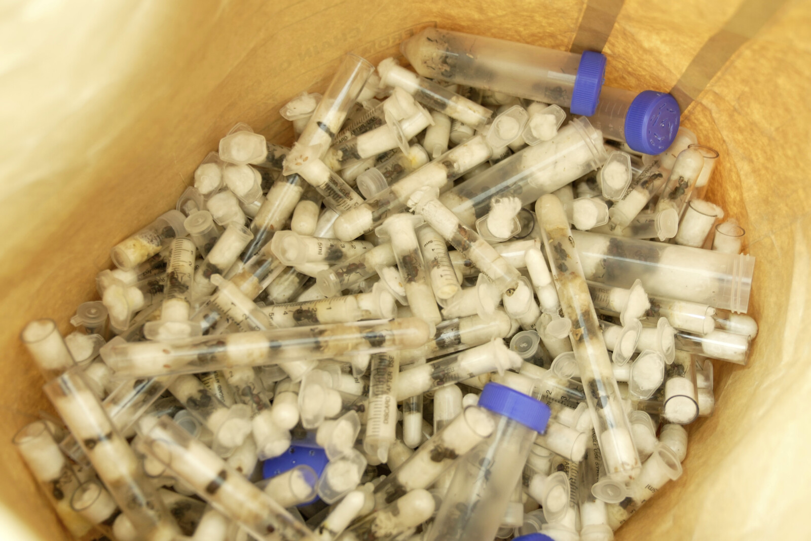 Belgian Teens Fined for Smuggling
