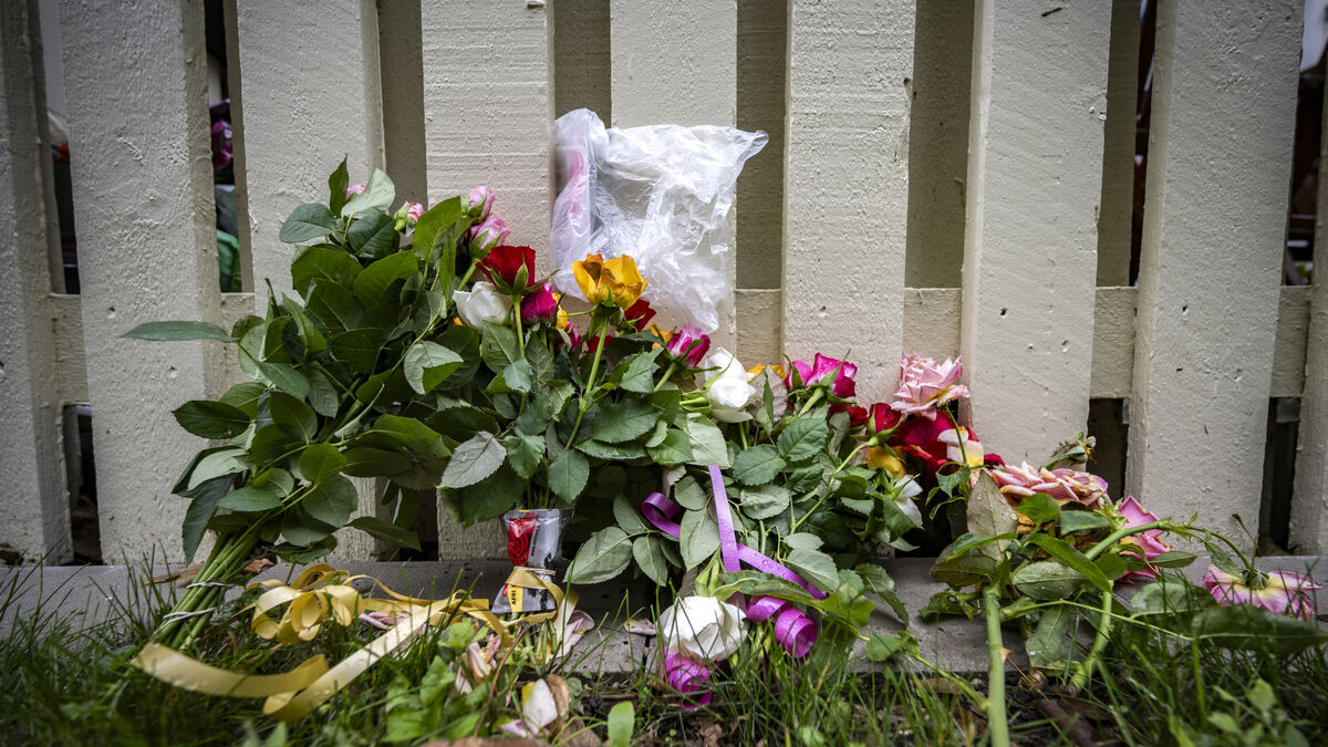Father who shot toddler sentenced