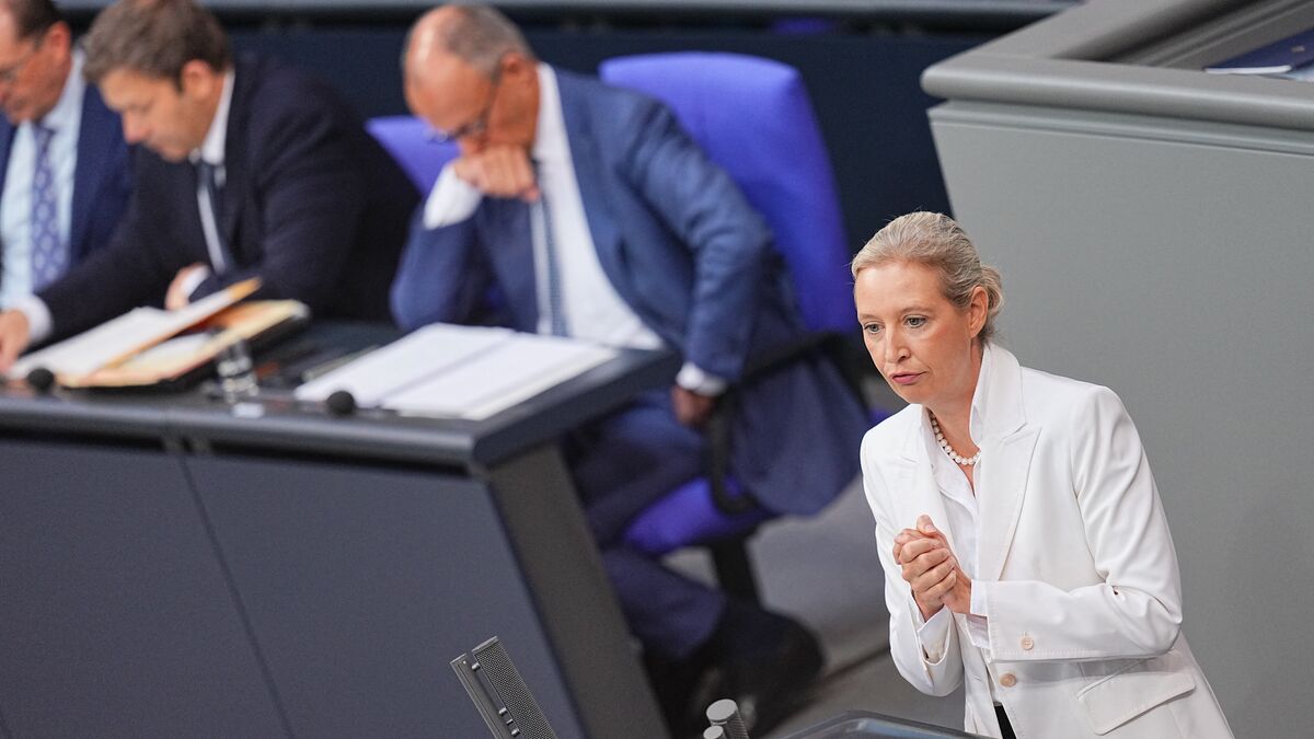 German AfD surge makes a