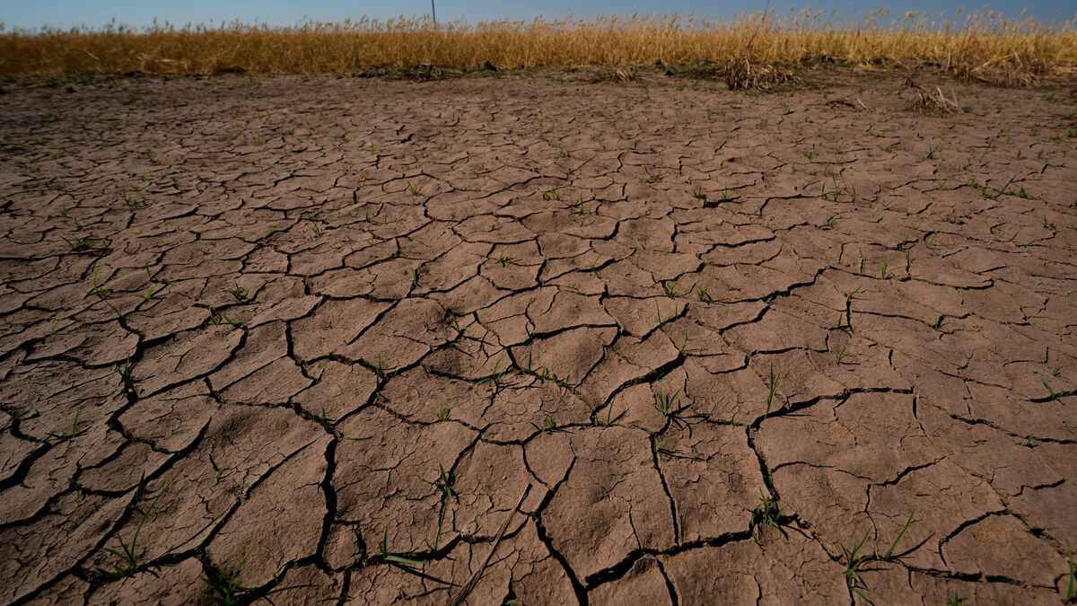 New study finds climate change has made El Niño about 36% stronger