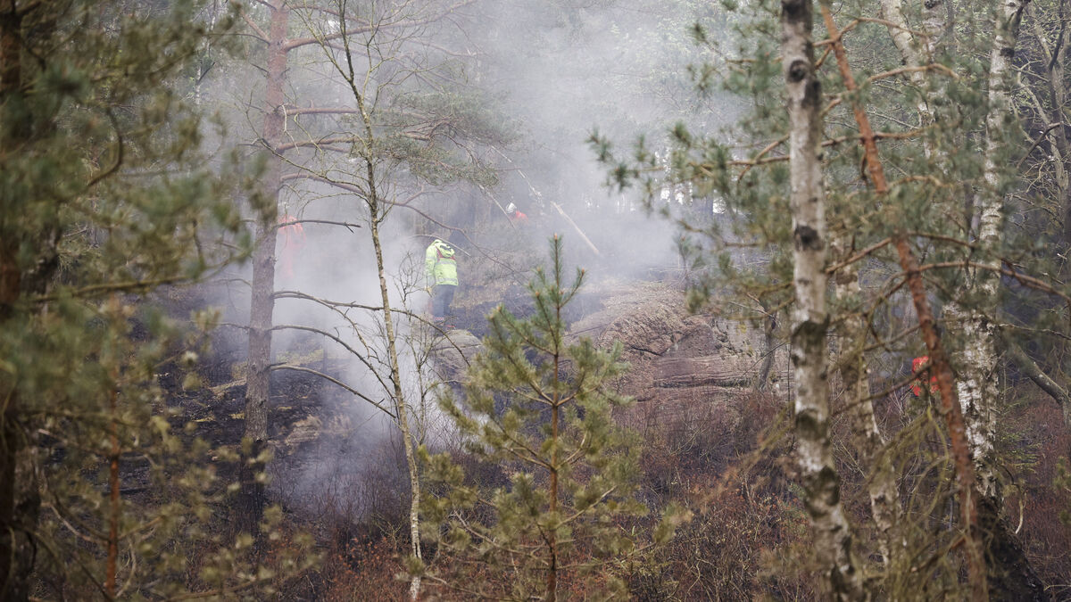 SMHI warns of high forest
