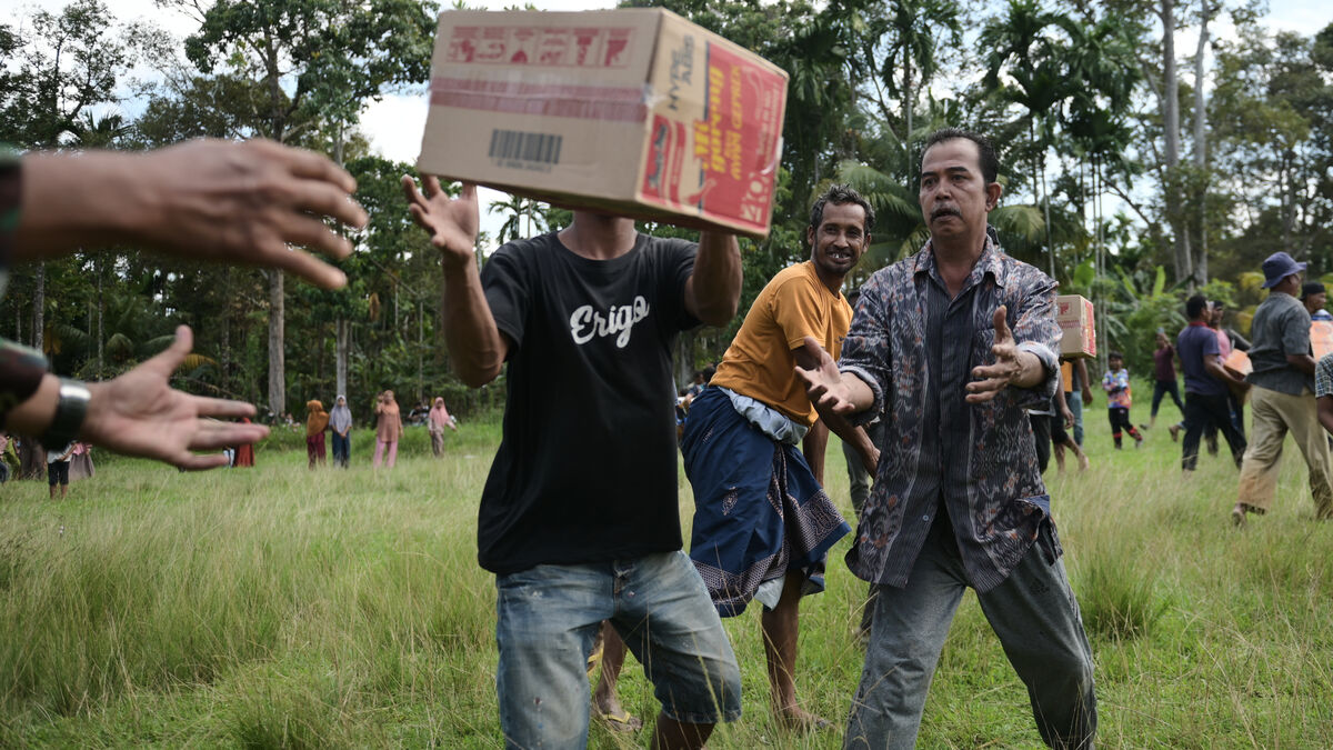 Over 1,500 dead after torrential
