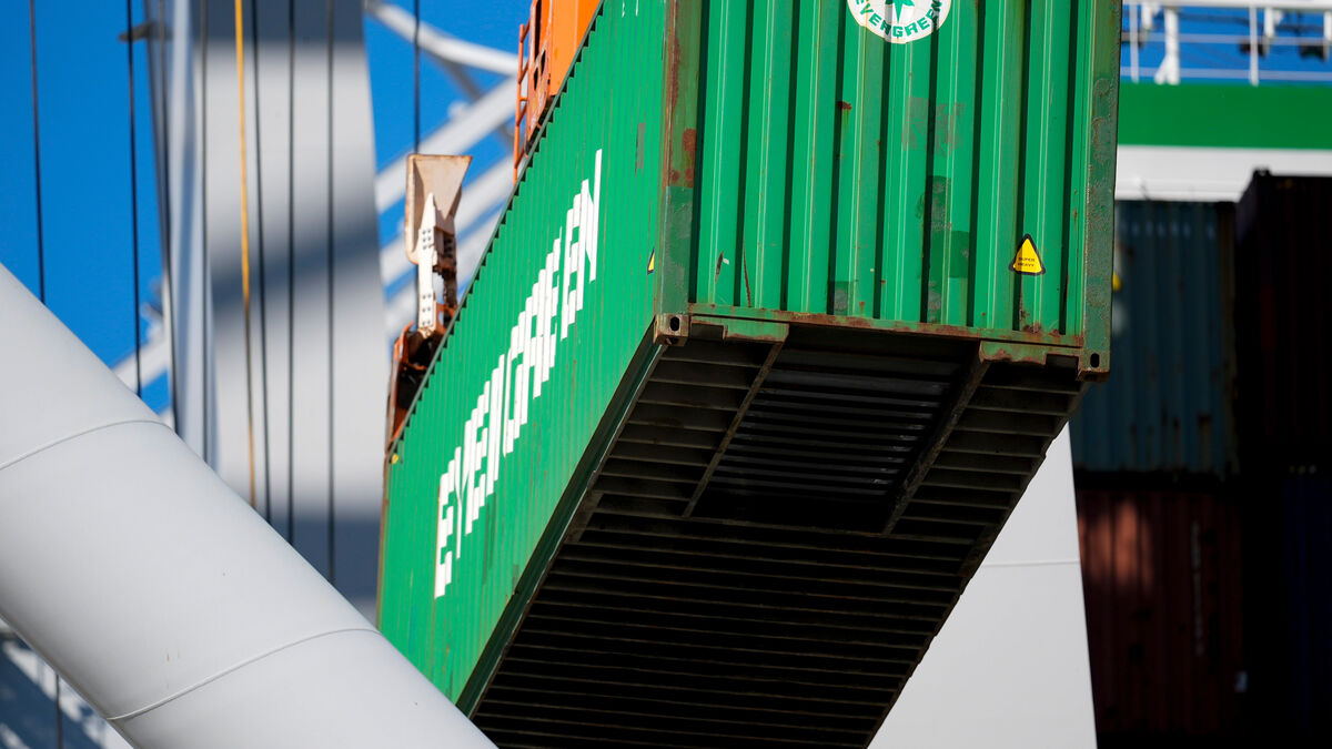 Uninvited guest stuck in container