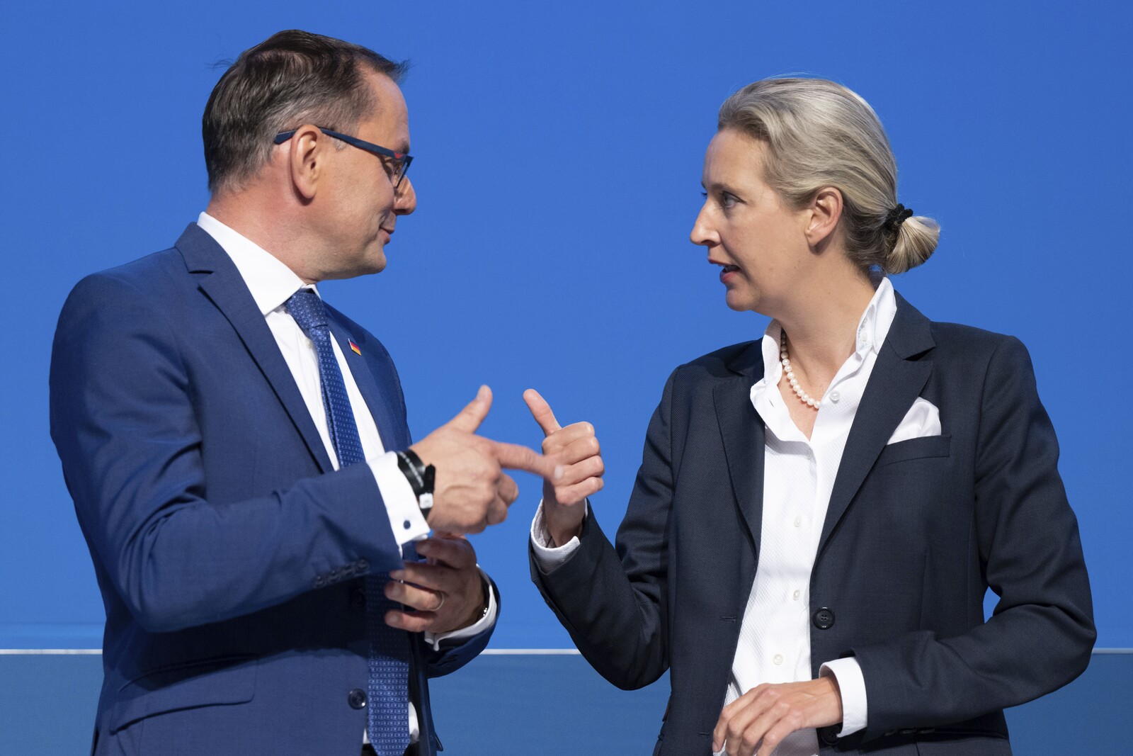 German Security Service Labels AFD as Far-Right Extremist