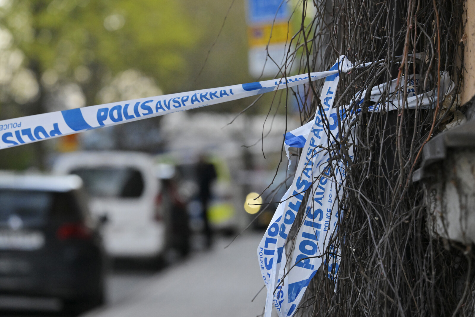 Teen Sentenced for Stockholm Murder