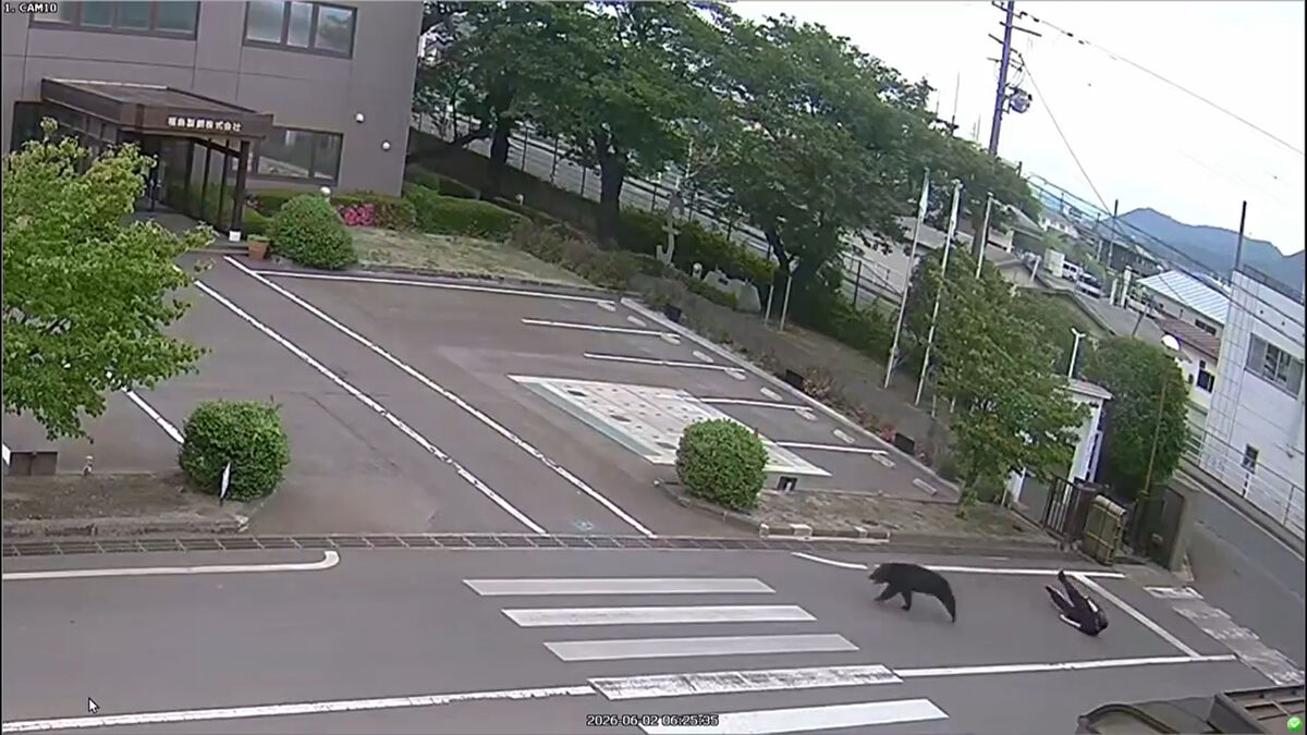 Bear ran amok in Fukushima residential area, injuring four