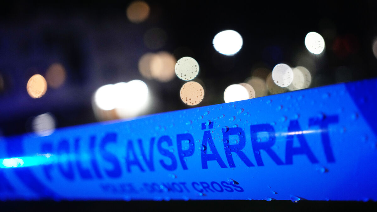 Man sentenced to nine years in prison for attempted murder of police officer in Orsa