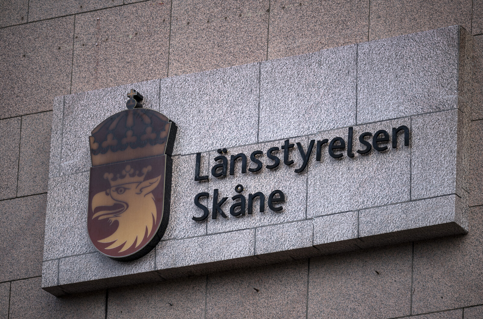 New Wolf Pack Discovered in Osby Municipality, Skåne