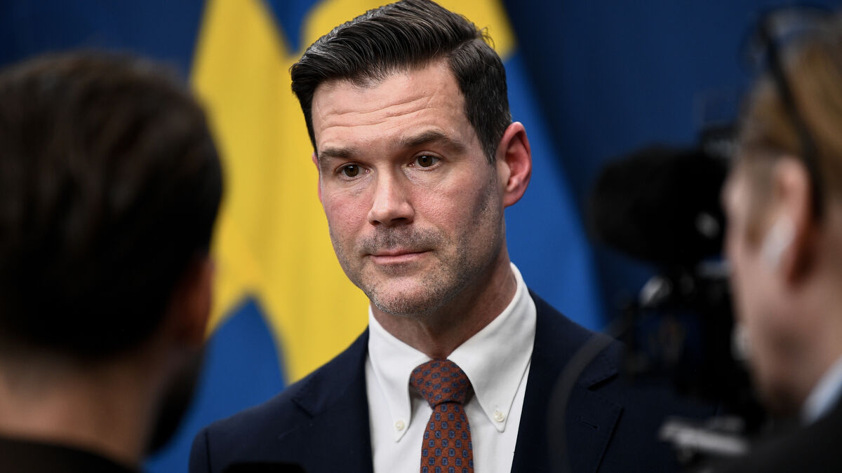 Government and Sweden Democrats negotiate on teenage deportations