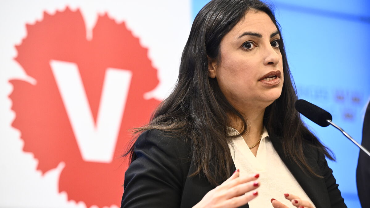 Left Party promise: Billions for higher wages in welfare professions