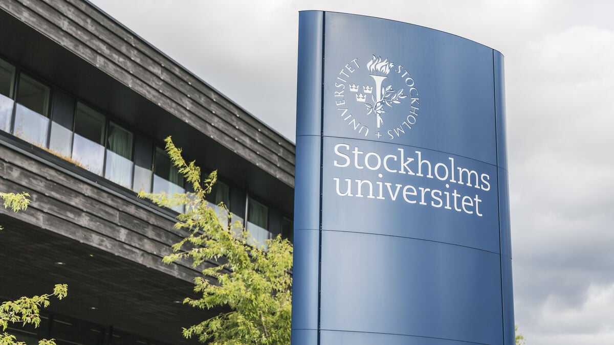 Journalist training paused – "major shortcomings"
