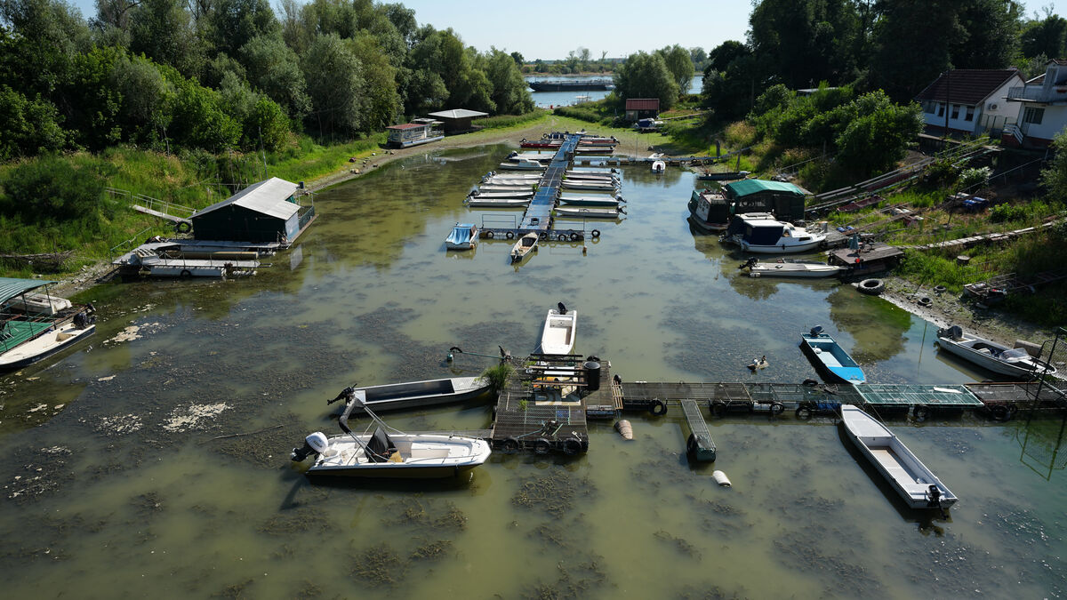 Europe’s major rivers run exceptionally low as drought hits Danube and Rhine again
