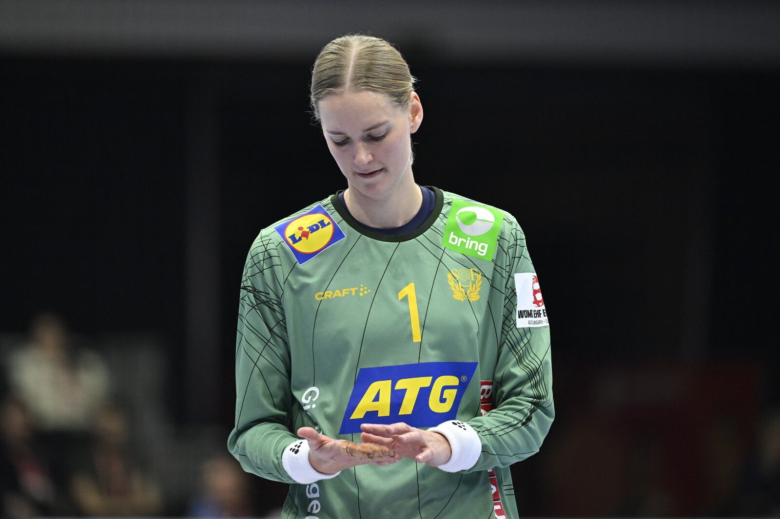 German Handball Champion Ludwigsburg Files for Bankruptcy